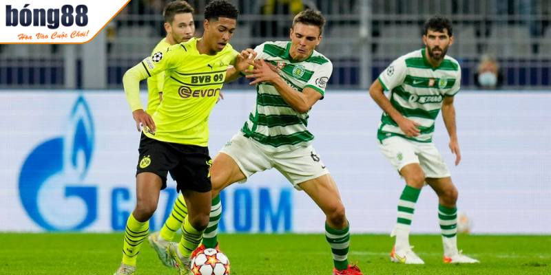 Soi Kèo Sporting Lisbon Vs Dortmund (03h00 Ngày 12/2): Chật Vật Hậu Amorim 1 Nhận định trận Sporting Lisbon vs Dortmund hôm nay