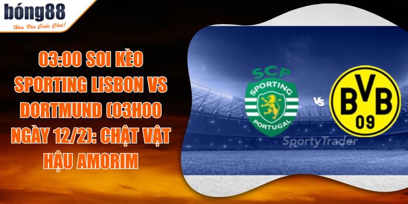 Soi Kèo Sporting Lisbon Vs Dortmund (03h00 Ngày 12/2): Chật Vật Hậu Amorim 1 03:00 Soi Kèo Sporting Lisbon Vs Dortmund (03h00 Ngày 12/2): Chật Vật Hậu Amorim
